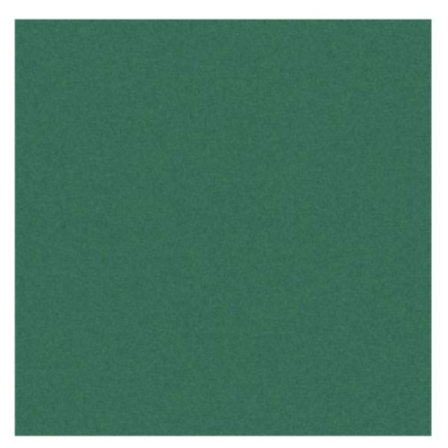 CANSON CF25FF COLORLINE 70X100 VERDE VI